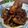 Cooksnap dari Fransiska Putri untuk resep Ayam Saus Mentega
