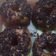 Cooksnap dari Neny Biandra untuk resep Donat Kampung