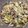 Rebecca Duncan's cooksnap of when they made Coleslaw.