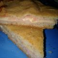 El cooksnap de Laura Flores cuando hizo Torta de fiambre licuada 🤤.