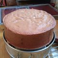 Cooksnap dari herlin wulan untuk resep Strawberry Cake Merah Putih