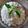 Cooksnap dari Aang Hudaya untuk resep Tutug Uyah