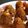 Urvashi Solanki's cooksnap of when they made અડદિયા (Adadiya Recipe In Gujarati).