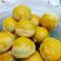 Cooksnap dari adisti untuk resep Nastar tevlon (anti gagal)