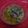 Nandini Mukherjee Ghosh's cooksnap of when they made পাট শাক দিয়ে মুসুরির ডাল (paat shaak diye masoor dal recipe in Bengali).