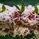 Cooksnap dari Irma Yukhlilawati untuk resep Ongol Ongol Betawi Tepung Hungkwe