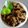 Christina Hoos's cooksnap of when they made Auberginen-Dip - Melitzanosalata.