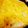Scott Roy's cooksnap of when they made Salsa Verde Chicken Enchiladas.