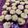 Cooksnap dari Juni W untuk resep Jasuke sukade cookies