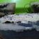 Cooksnap dari Rohmah Septiyani untuk resep Oreo cheese cake lumer enak😋