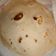 El cooksnap de Suri cuando hizo Tortillas de harina diferentes.