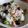 El cooksnap de Montse Casellas - Trasteamos en mi Cocina? cuando hizo Ensalada de brócolis...🥦🥦.