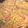 El cooksnap de Judit Capdevila cuando hizo Espaguettis con chirlas y gambas.