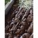 Cooksnap dari nurul untuk resep ❤️ Brownies Panggang Oven Tangkring~