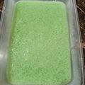 Cooksnap dari Zamzam Alfateeh untuk resep Puding lumut