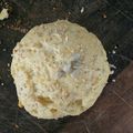 El cooksnap de Gisela González cuando hizo Pan de Hamburguesa de Papa.