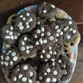 El cooksnap de Natalia Arce cuando hizo Galletitas con chips de chocolate Sin margarina ni manteca.