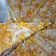 Cooksnap dari Desy R untuk resep Pizza