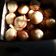 Cooksnap dari Dewi paris untuk resep Pukis pandan menul #pr_pukis