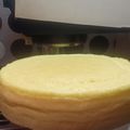 Cooksnap dari farida untuk resep Japanese cheesecake jepang tanpa cream cheese beserta tips & triknya