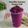 Cooksnap dari Leli Yeje untuk resep Smoothies Banana Dragon Fruit