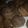 El cooksnap de Pau cuando hizo Muffins de avena y chocolate 🧁🍫.