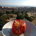 El cooksnap de Ivet Martínez Páez cuando hizo Pimiento asado relleno de quinoa y salsa de tomate.