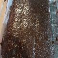 El cooksnap de Paulina del Pazo cuando hizo Turrón de Quaker.