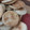 El cooksnap de Gisela González cuando hizo Galletas marineras.
