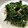 Cooksnap dari ekitchen untuk resep Sigeumchi-namul (Spinach Bachan)