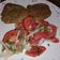 El cooksnap de Victor Hugo Gatica Guenupan cuando hizo Croquetas de jurel.