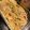 Cooksnap dari Cok Devitia untuk resep Spagethi Carbonara
