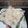 Puja Shaw's cooksnap of when they made তিল ও কাজু বাটা দিয়ে পনির(teel o kaju bata diye paneer recipe in Bengali).