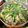 Miga 的 阿嬤的鹹湯圓 cooksnap