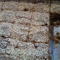 Cooksnap από Λεμονιά Πούλου στη συνταγή Σταφιδόπιτα με μέλι