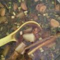 Cooksnap dari vivi nuriyani untuk resep 15. Rawon Surabaya Asli