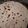 Hetal Siddhpura's cooksnap of when they made ફૂલકા રોટલી(phulka roti in Gujarati).