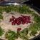  Chef Richa pathak. का कुकस्नैप जब उन्होंने खीरे का रायता (kheere ka raita recipe in Hindi) बनाया था।