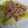 El cooksnap de Salomea Bircu cuando hizo Ensalada de puerros y atún.