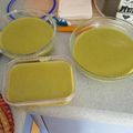 El cooksnap de Fatimilla cuando hizo Puré de guisantes.