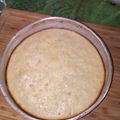 El cooksnap de Anto Coelho cuando hizo Torta de Naranja con sólo 6 ingredientes!!.