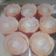 Cooksnap dari Mega ulansari untuk resep Hokaido Chiffon Cupcake (recook Tintin Rayner)