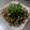 潘俊霖的(簡單料理) 的 味增燒蜆肉（低醣生酮餐）（開胃小菜）（10分鐘快速料理）（簡單料理） cooksnap
