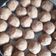 Vaghela Hetal 's cooksnap of when they made ગુંદર નાં લાડવા (gundar na Ladoo recipe in gujarati).