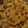 Aparna Dutt's cooksnap of when they made सरसों दा साग और मक्के दी रोटी (sarson da saag aur makke di roti recipe in Hindi).