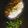 chef Nidhi Bole's cooksnap of when they made વેજ દમ બિરયાની (Vag Dum Biryani Recipe in Gujarati).