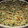 El cooksnap de Antocayo93 cuando hizo Tarta de zapallitos.