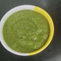 Laju Gehani's cooksnap of when they made Green Chutney.