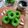 Cooksnap dari Diyah Puspita Rini untuk resep Brownies Pandan