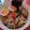 Cooksnap dari sandi untuk resep Niku udon homemade
